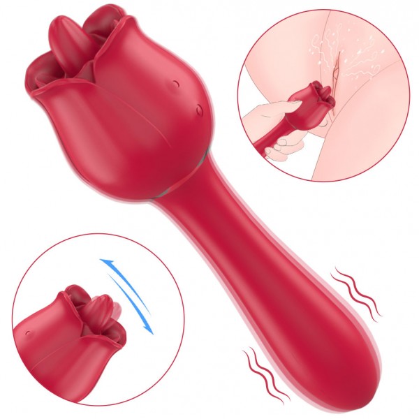 Erojen Bölge Etkili Çift Taraflı Şarjlı Vibratör