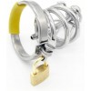 Paslanmaz Çelik Erkek Bekâret Kemeri – Metal Üretral Tüplü Kısıtlama Cihazı